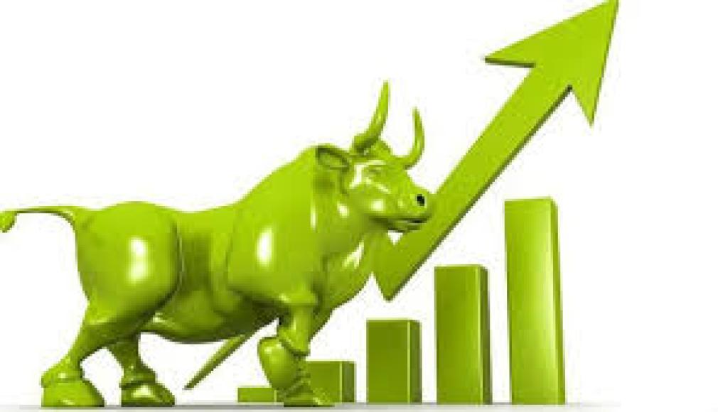 नेप्सेमा सामान्य सुधार